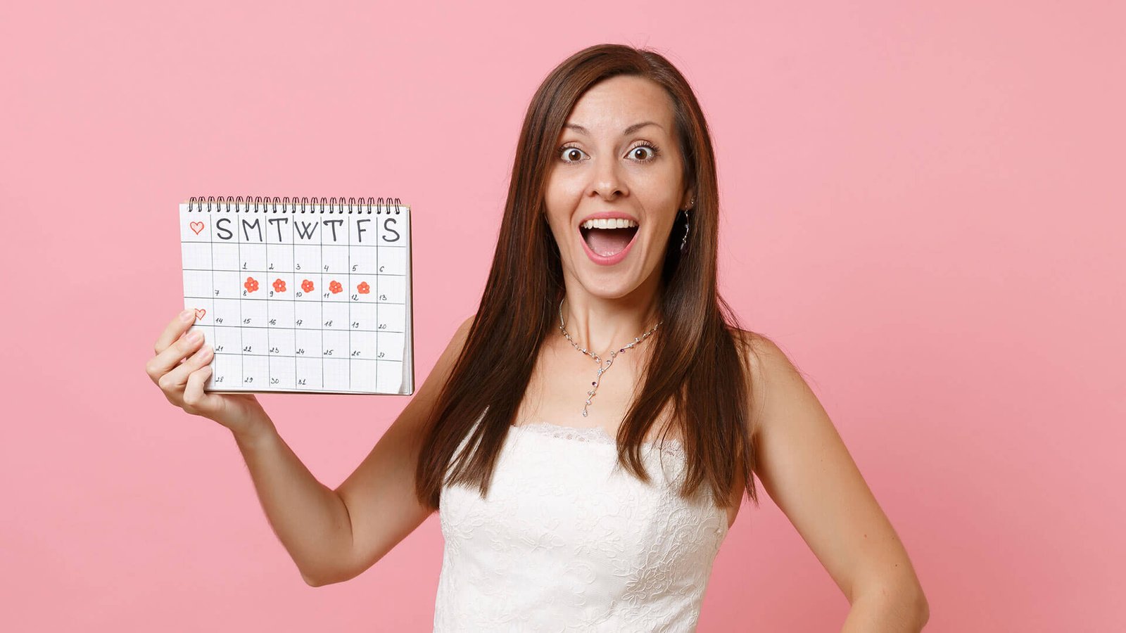 Conception Calculator